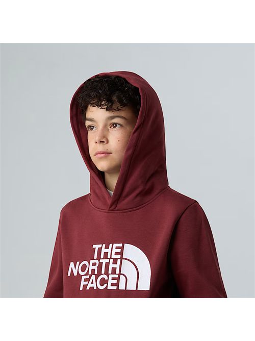  THE NORTH FACE | NF0A8EHH/0VO1